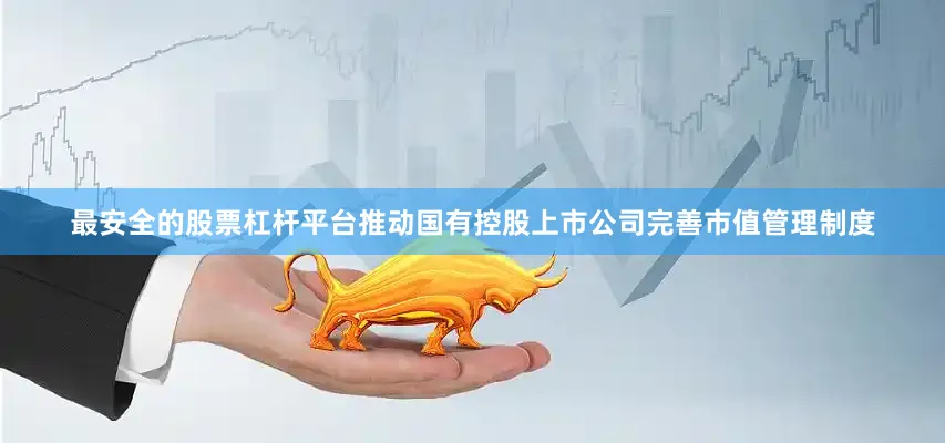 最安全的股票杠杆平台推动国有控股上市公司完善市值管理制度