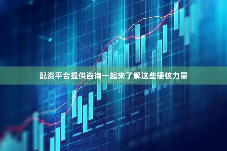 配资平台提供咨询一起来了解这些硬核力量