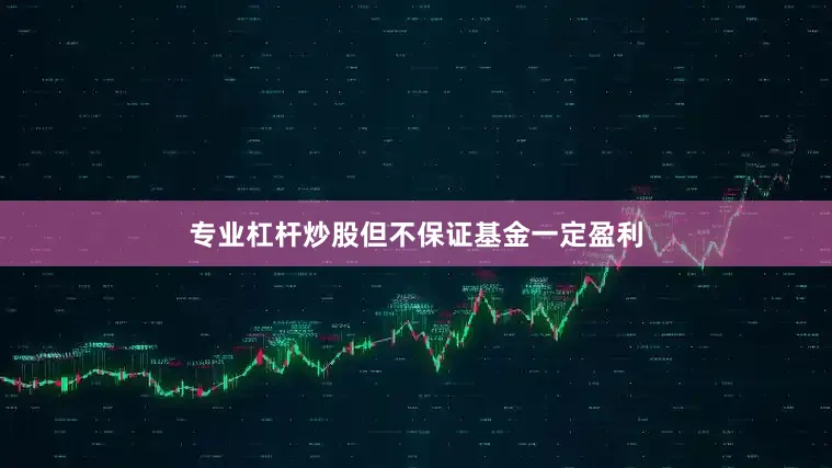 专业杠杆炒股但不保证基金一定盈利