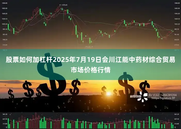 股票如何加杠杆2025年7月19日会川江能中药材综合贸易市场价格行情